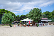 Hotel Villa Etrusca - The beach at 100 m.