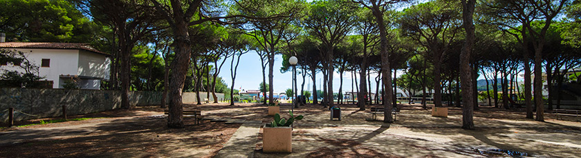 Hotel Villa Etrusca - the pine wood in front of the beach