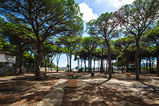 Hotel Villa Etrusca - Der Pinienhain vor dem Strand